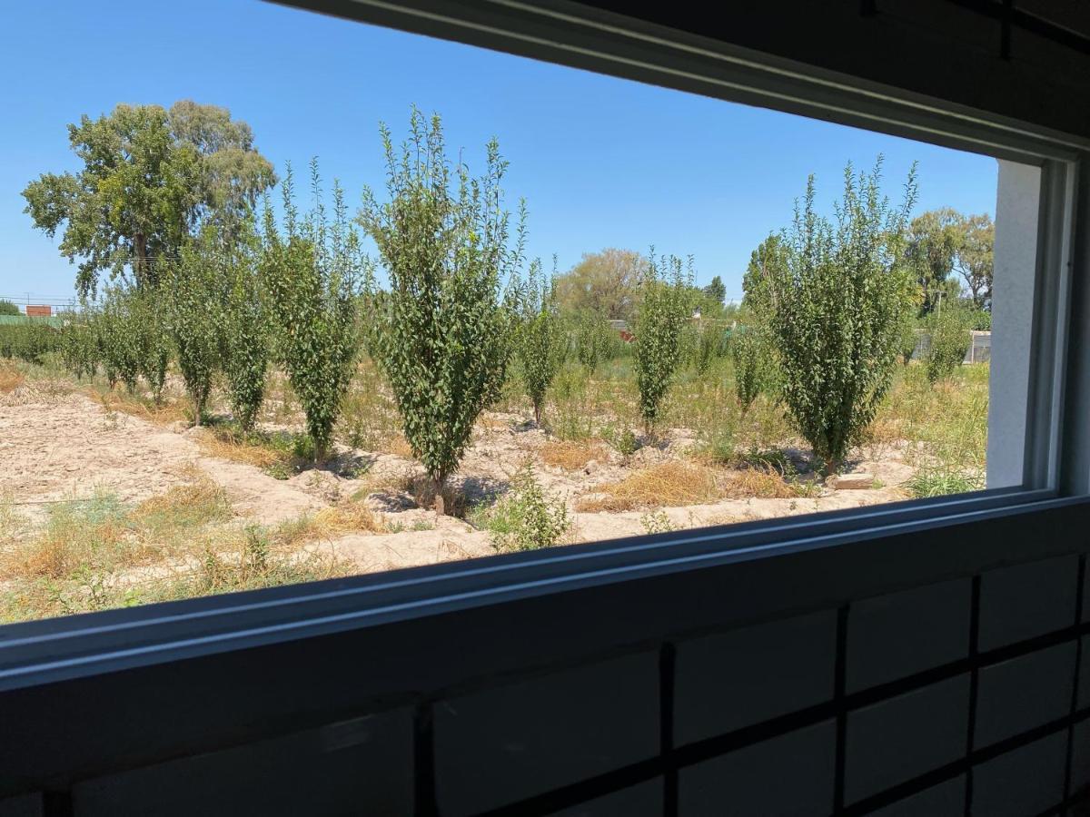El Rincon Del Nene Villa Albardón Екстериор снимка