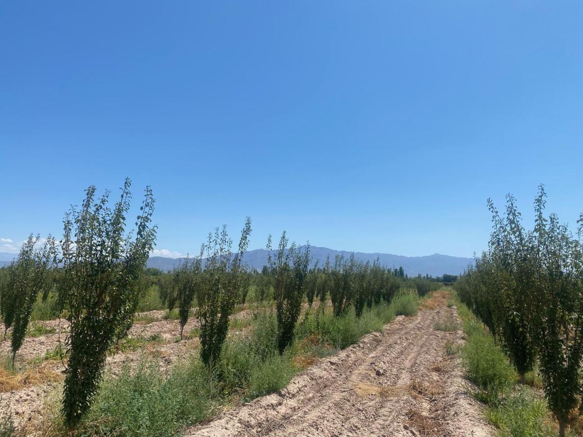 El Rincon Del Nene Villa Albardón Екстериор снимка